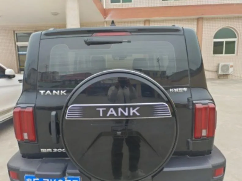 Бак 300 колёсный накладка фонарь (strips are dual-балка; WEY фонарь are single- балка) — Tank (GWM)