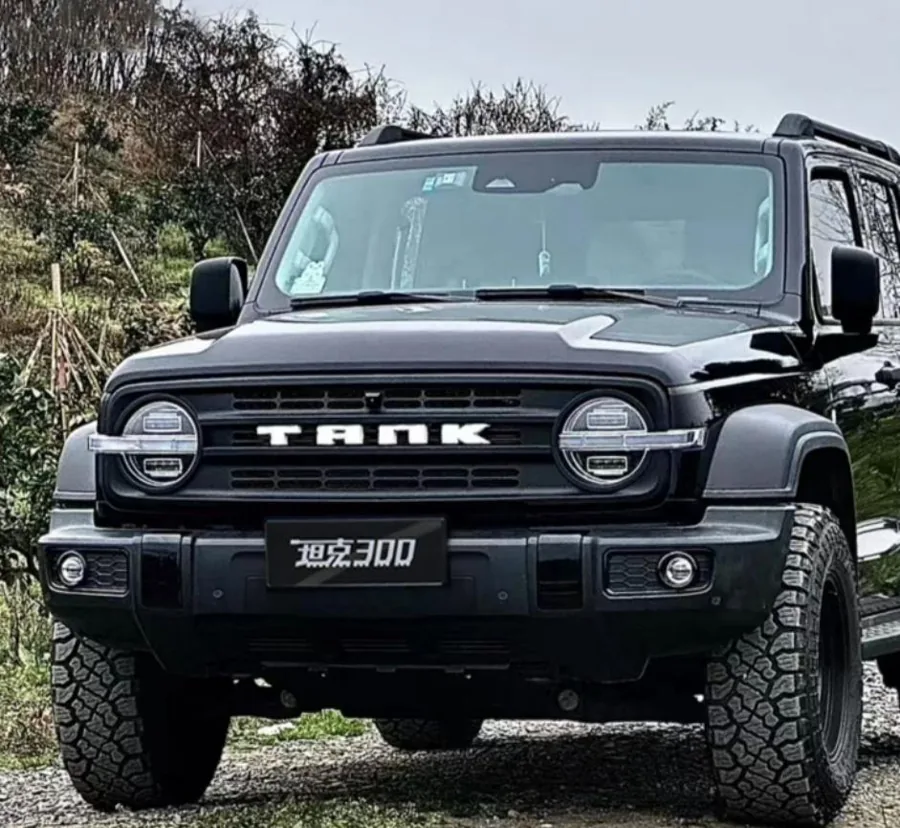Бак 300 решётка радиатора тип B (Replacement) — Tank (GWM)