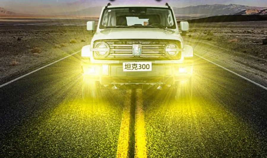 Бак 300 противотуманный фонарь (Replacement the original противотуманный фонарь) — Tank (GWM)
